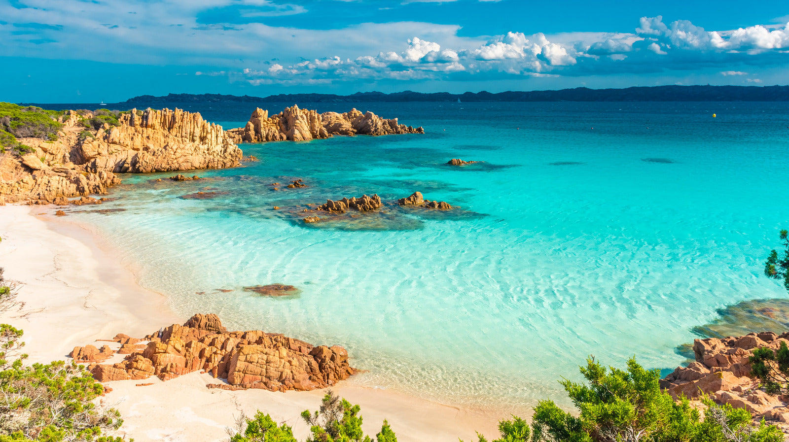 ⚠️ Closing for Holidays 29/08-11/09 ️🌴