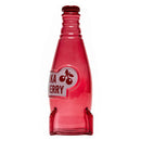 Garrafa & Caricas Fallout Nuka Cola Cherry