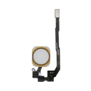 iPhone 5S/SE Home Flex-Taste