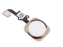 Bouton Accueil Flex iPhone 6S et iPhone 6S Plus