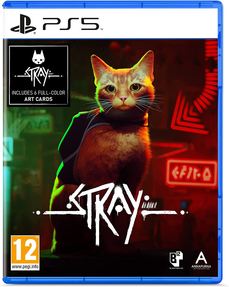 Stray PS5 game